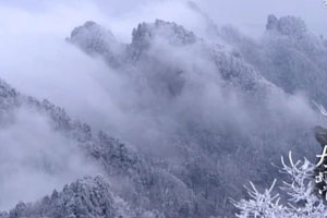 阴阳圆融