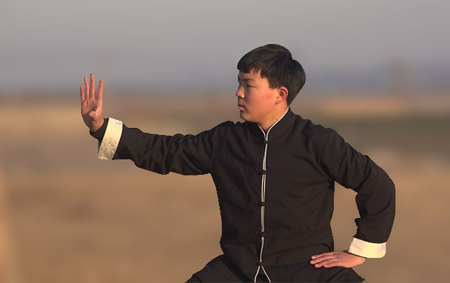 <b>太极少年吴子贤</b>