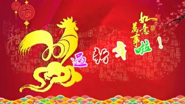 孟州市太极拳协会2017大拜年