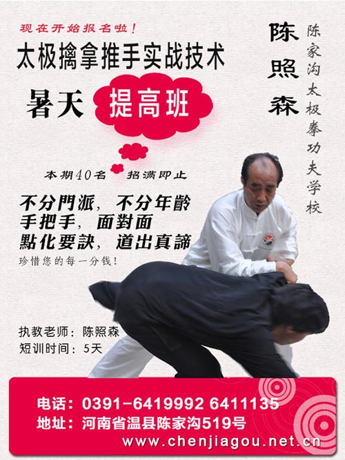 陈照森太极擒拿推手实战高级培训班