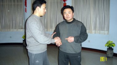 浅说太极拳的擒拿技法——怪