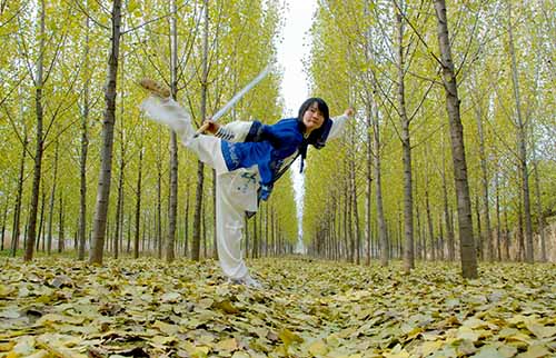 常明月太极风采