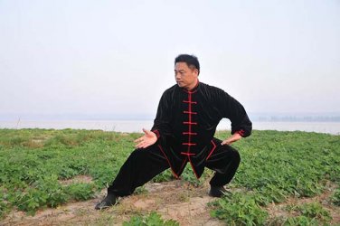 常子轩老师拳架欣赏