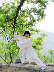 盛夏养心练太极
