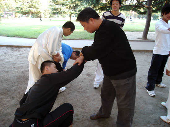 2013暑期零距离与常子轩老师同修太极