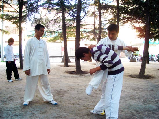 2013暑期零距离与常子轩老师同修太极