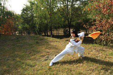 <b>太极美女常明月拳照</b>