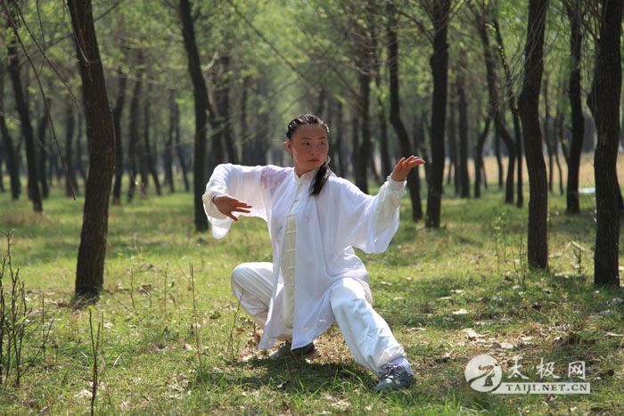 太极新秀常明月拳姿