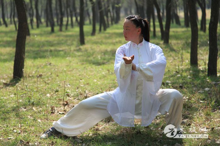 太极新秀常明月拳姿