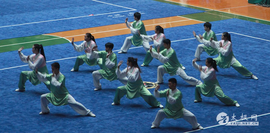 2015年全国武术太极拳公开赛（温县站）完美谢幕