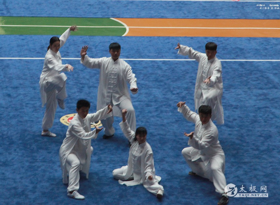 2015年全国武术太极拳公开赛（温县站）完美谢幕