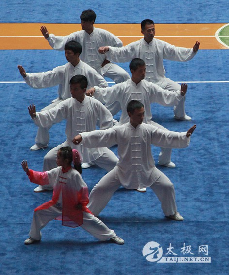 2015年全国武术太极拳公开赛（温县站）完美谢幕
