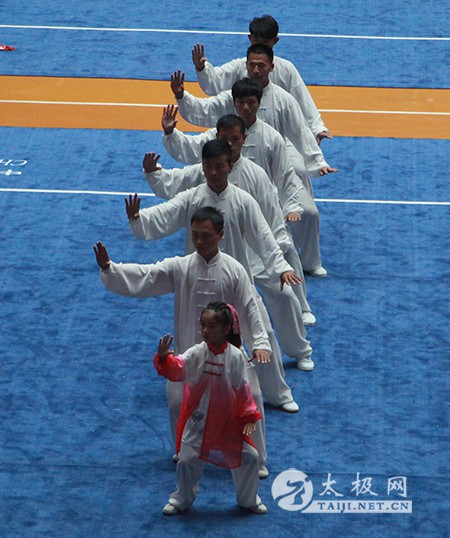 2015年全国武术太极拳公开赛（温县站）完美谢幕