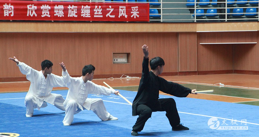 2015年全国武术太极拳公开赛（温县站）完美谢幕
