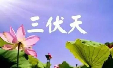 太极拳“夏练三伏”应该注意
