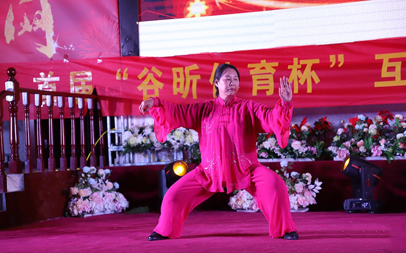 陈式太极拳名家赵力、乔莲洁受邀中太网首届太